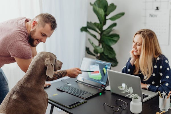 Pros and Cons of Pets in the Office