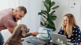 Pros and Cons of Pets in the Office